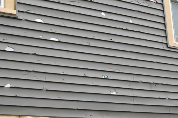 Best Custom Trim and Detailing for Siding  in Buckhall, VA