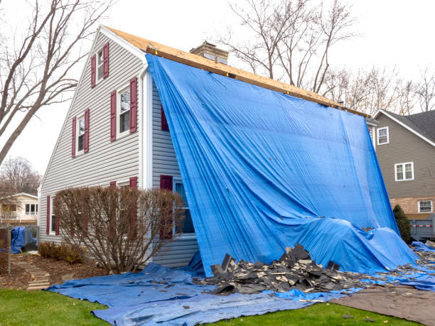 Best Fiber Cement Siding Installation  in Buckhall, VA